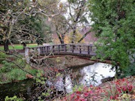 423927292 UC Davis Arboretum, bridge